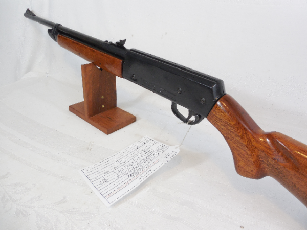 Crosman 2200 with Wood Stock - Image 6