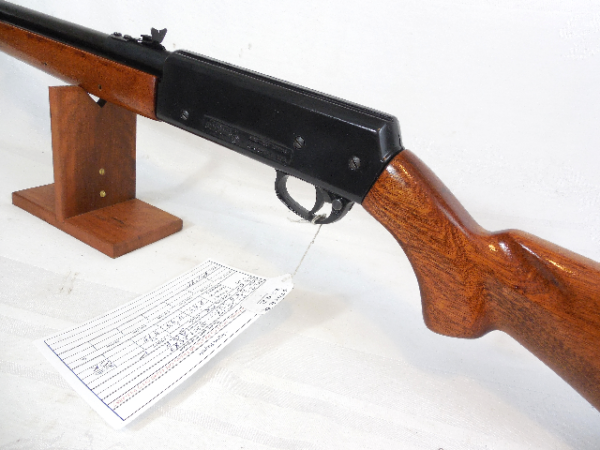 Crosman 2200 with Wood Stock