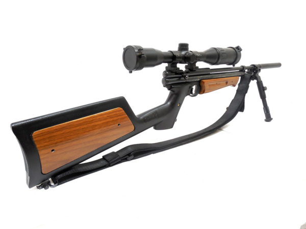 Crosman 2289G Backpacker Custom | SKU 4022 - Image 2