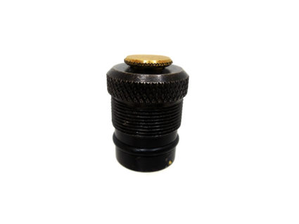 Bulk Fill Cap  for Benjamin and Crosman