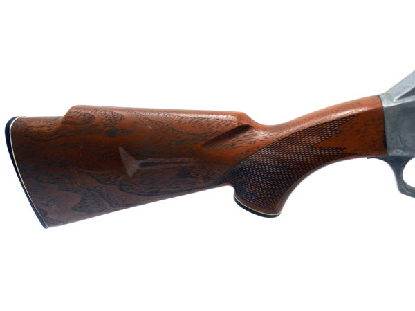 Early Daisy 880  | SKU 7244 - Image 3