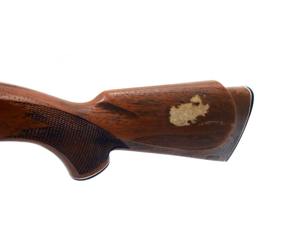 Early Daisy 880  | SKU 7244 - Image 4