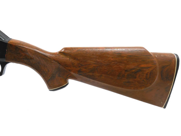 Early Daisy 880  | SKU 7167 - Image 4