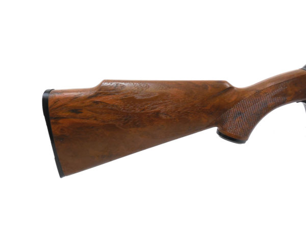 Early Daisy 880 | SKU 7300.1 - Image 3