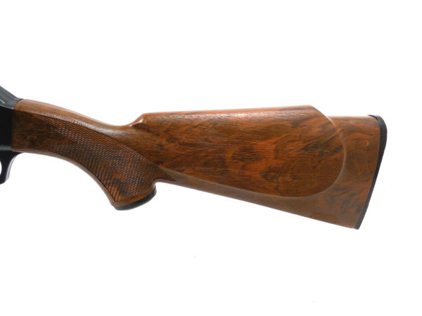 Early Daisy 880 | SKU 7300.1 - Image 4