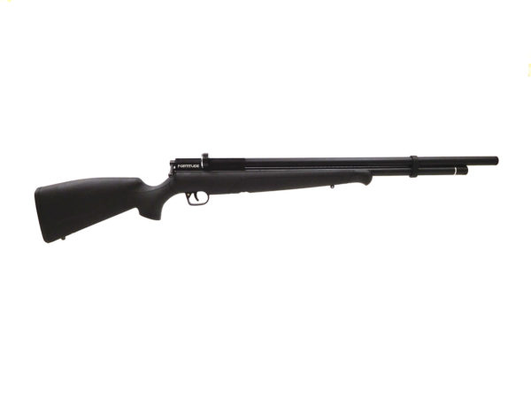Benjamin Fortitude Gen2 PCP Air Rifle, Regulated .177