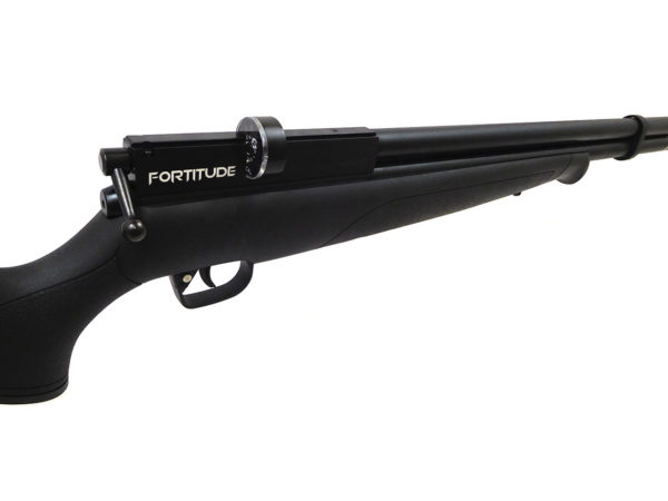 Benjamin Fortitude Gen2 PCP Air Rifle, Regulated .177 - Image 5