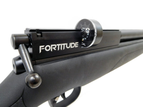 Benjamin Fortitude Gen2 PCP Air Rifle, Regulated .177 - Image 7