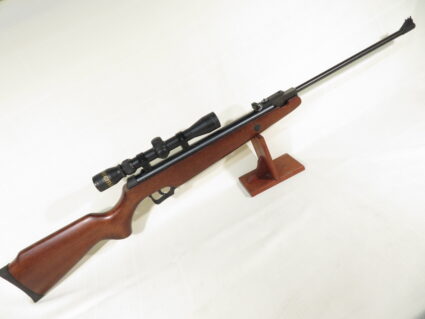 Beeman Sportsman RS1 Series