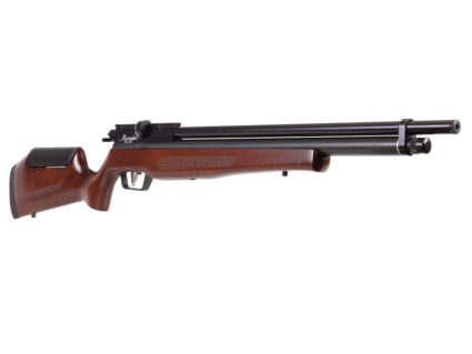 Benjamin Marauder Semi-Automatic