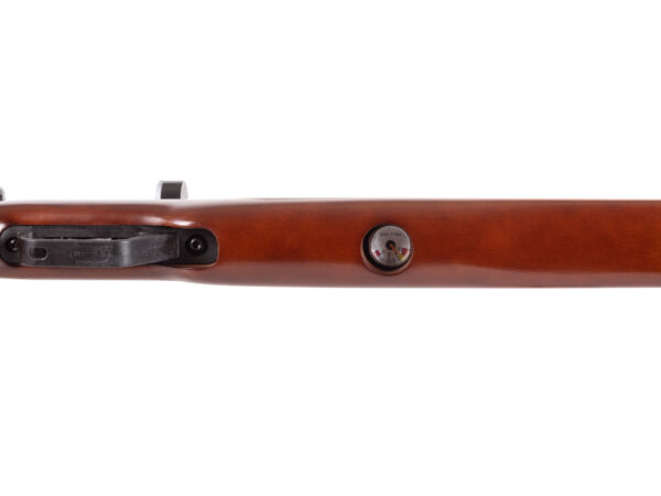 Benjamin Marauder Semi-Automatic - Image 3