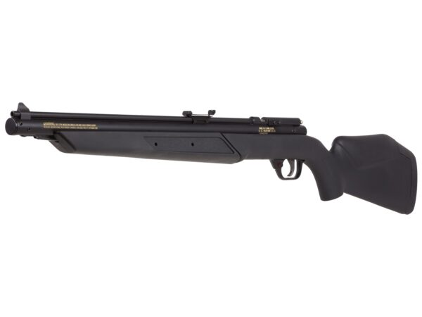 Benjamin 392S Multi Pump Air Rifle .22