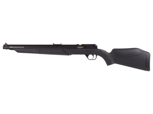 Benjamin 392S Multi Pump Air Rifle .22 - Image 4