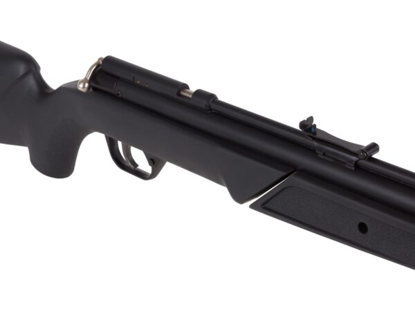 Benjamin 392S Multi Pump Air Rifle .22 - Image 6