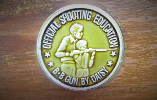 Daisy Model 99 - Image 8