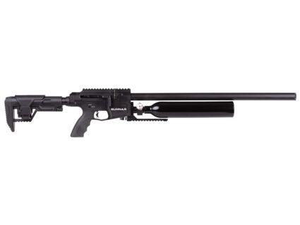 Benjamin Gunnar PCP Rifle- Price Reduced!