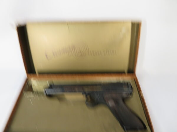 Crosman 116 Pre-Charged CO2 Pellet Pistol in Intro Box - Image 2