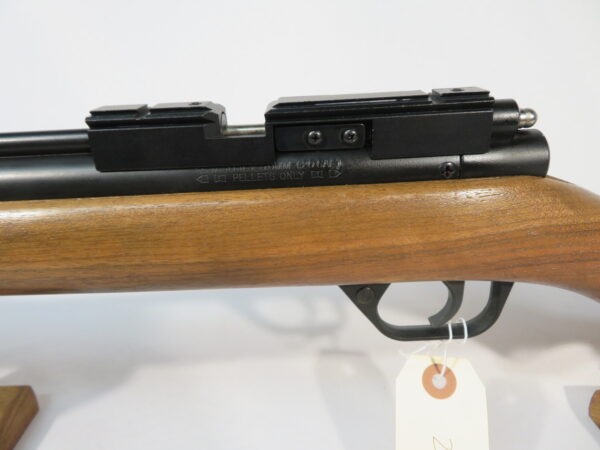 Sheridan C9A Blue Streak w/ Scope Mount - Image 4